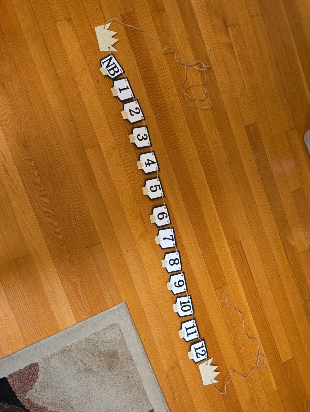 1st Birthday Countdown Banner - Black and White Number Garland